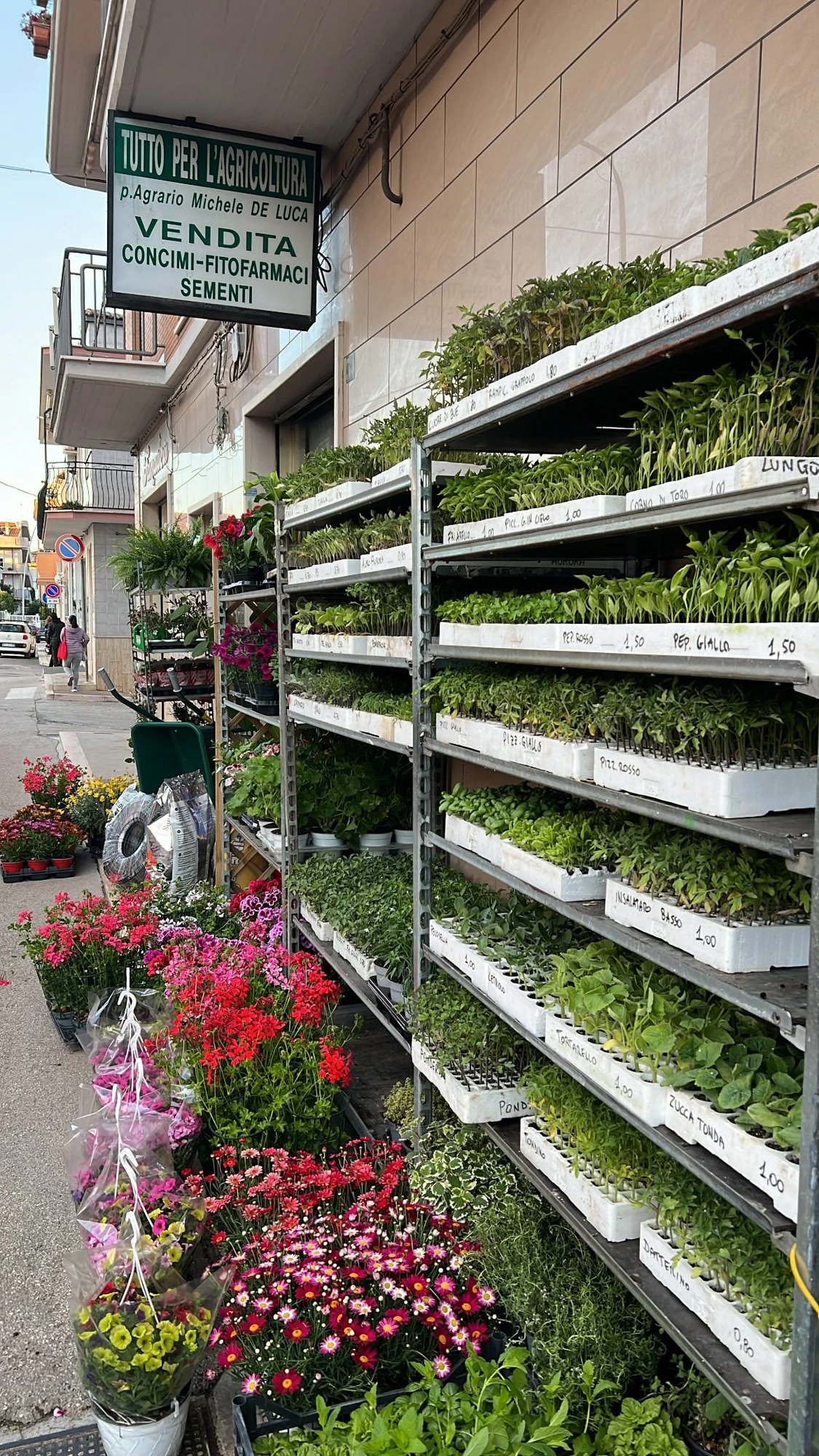 L'esterno del negozio Tutto per l'agricoltura con piante e fiori in esposizione